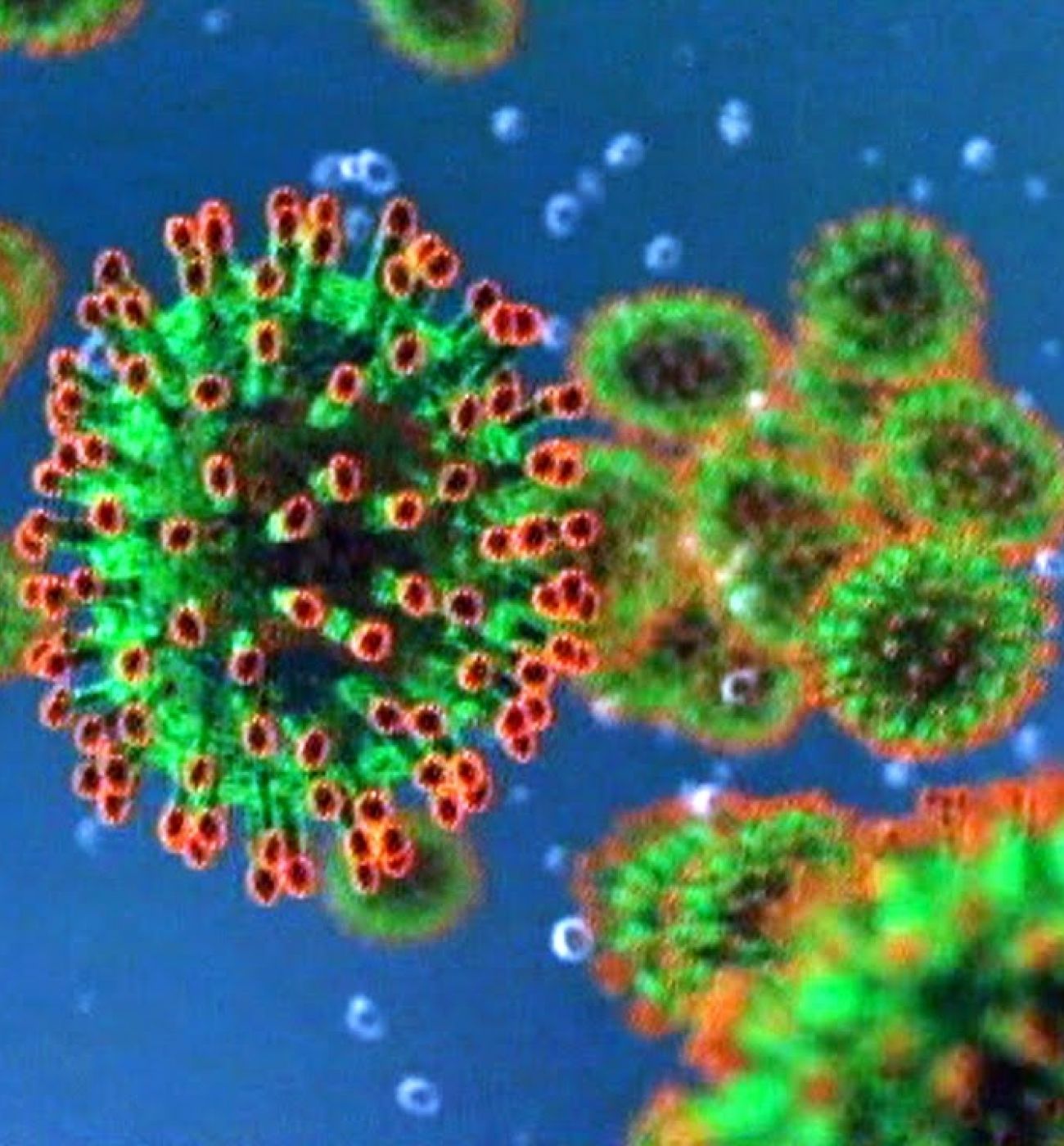 Update maatregelen coronavirus