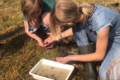 Jubileum voor Dingstede in De Wieden